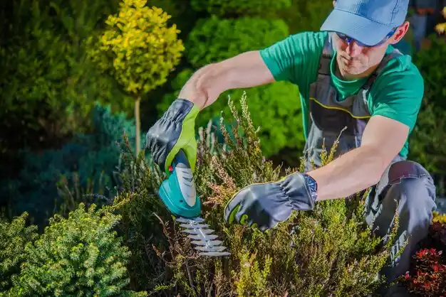 landscaping services Holmesville